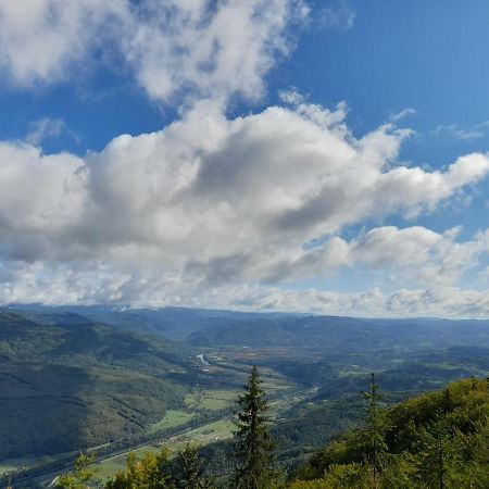 Tisina Tare Villa Bajina Basta Exterior foto