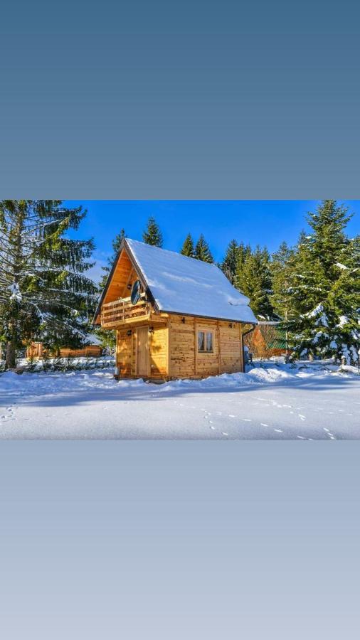 Tisina Tare Villa Bajina Basta Exterior foto