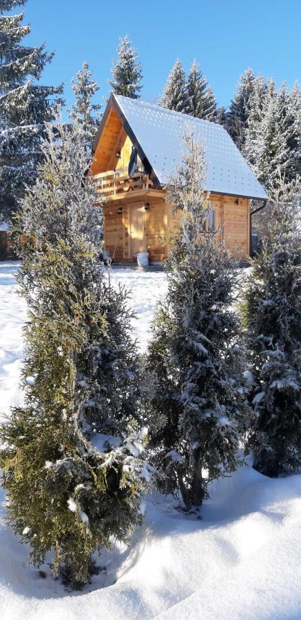Tisina Tare Villa Bajina Basta Exterior foto