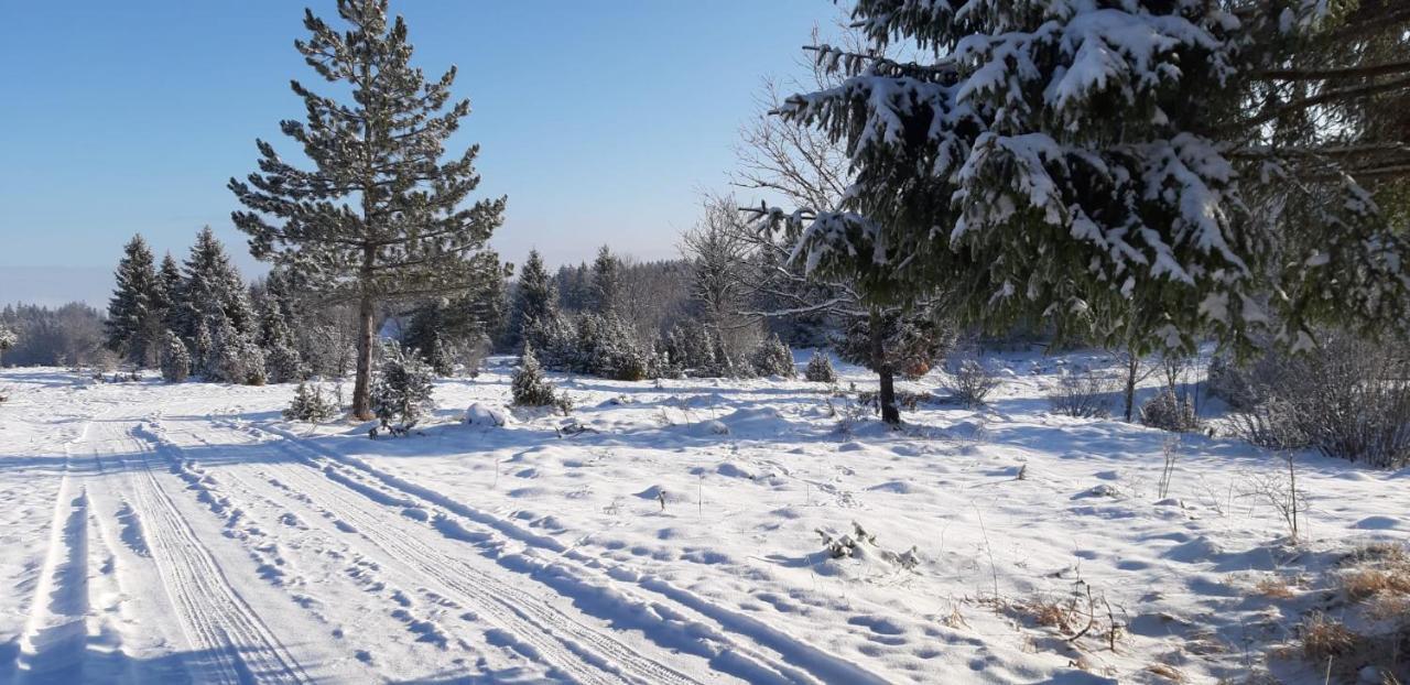 Tisina Tare Villa Bajina Basta Exterior foto